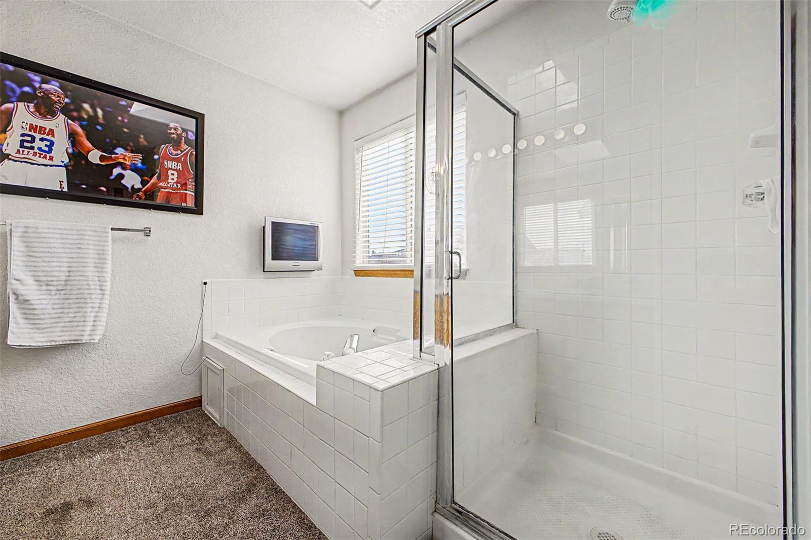 MLS Image #21 for 10152  wyandott circle,thornton, Colorado