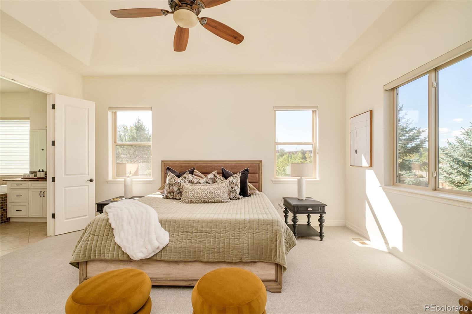 MLS Image #19 for 3325  quail street,wheat ridge, Colorado
