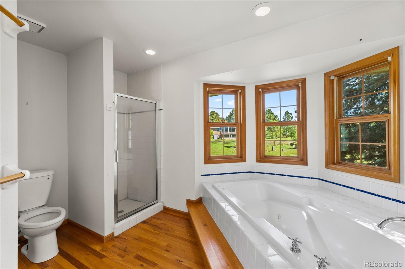 MLS Image #30 for 18465  sloan lane,monument, Colorado