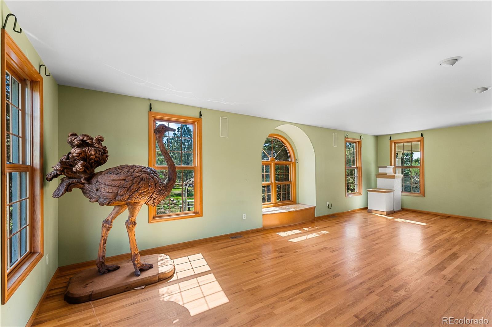 MLS Image #5 for 18465  sloan lane,monument, Colorado