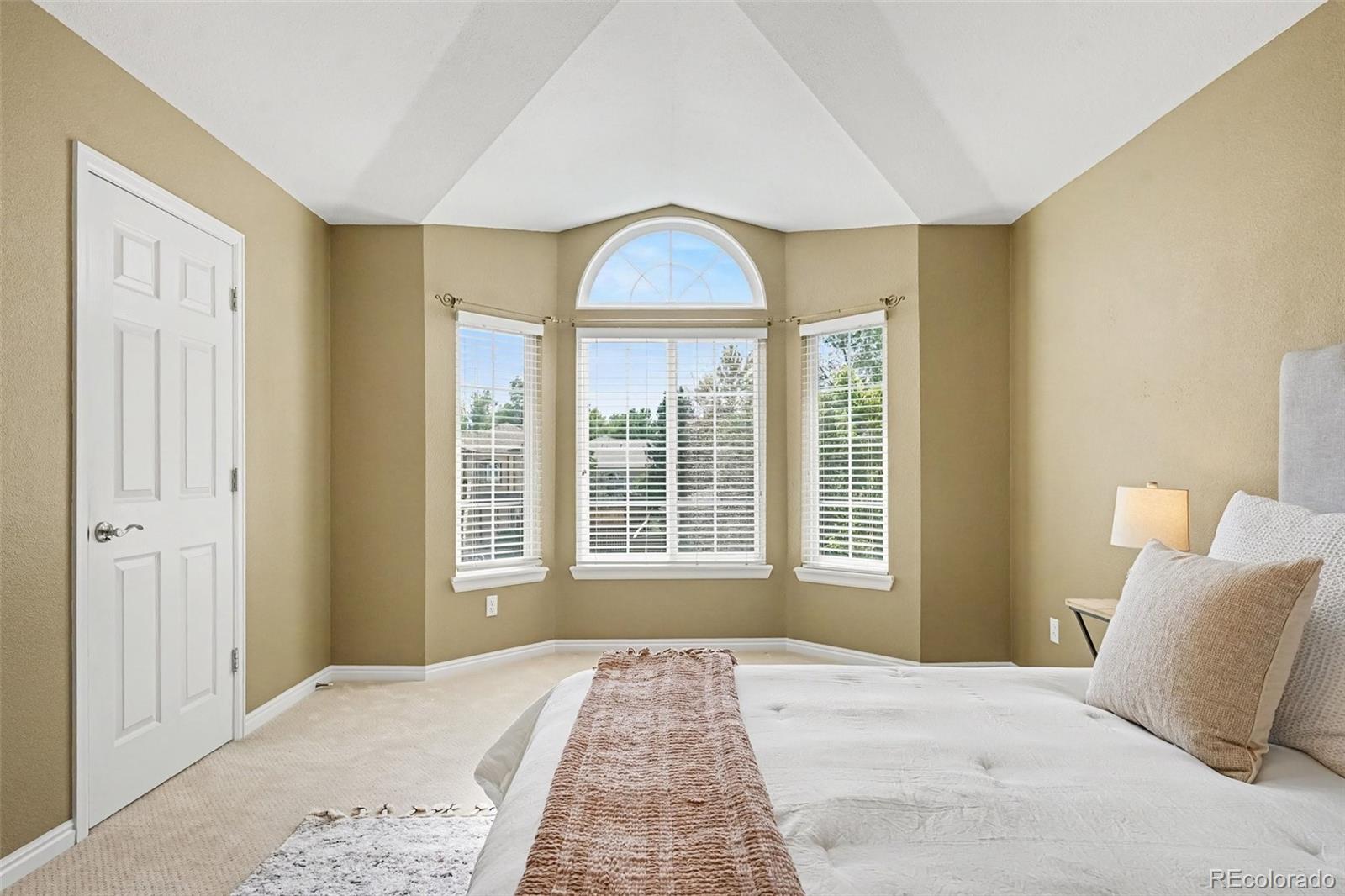 MLS Image #17 for 435  bexley street,highlands ranch, Colorado