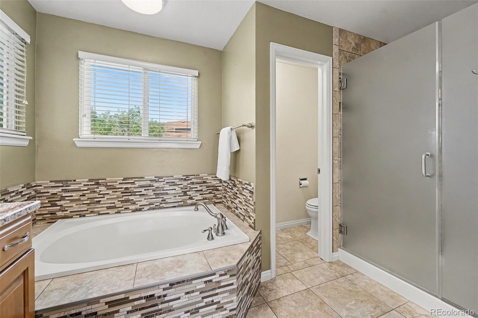 MLS Image #19 for 435  bexley street,highlands ranch, Colorado