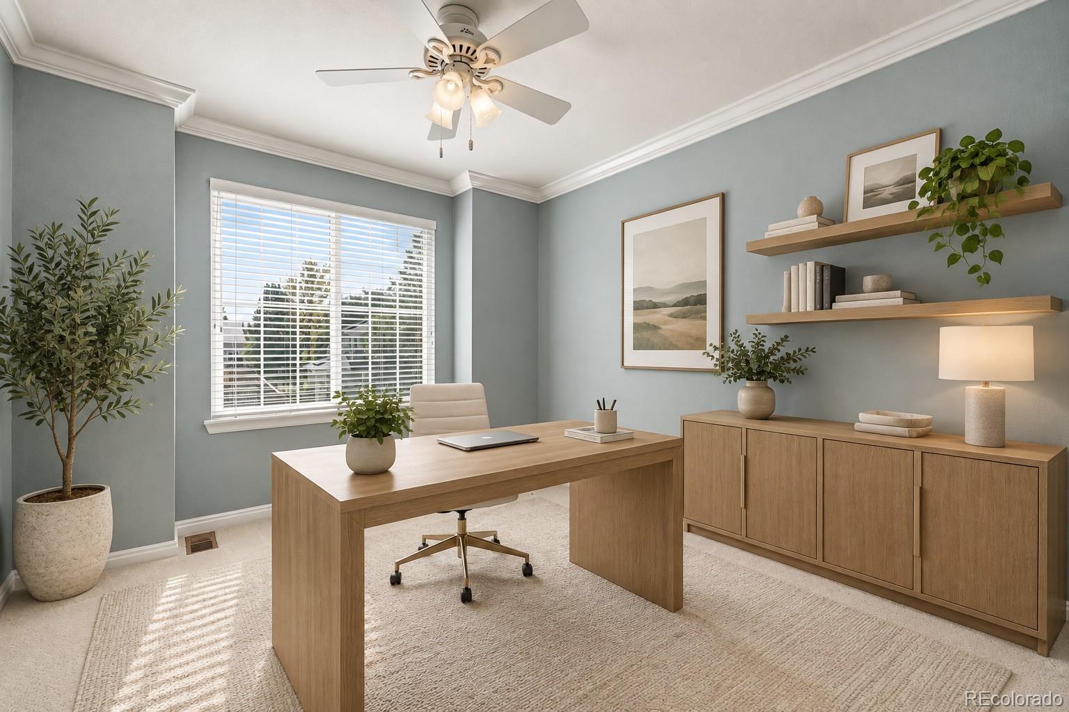 MLS Image #20 for 435  bexley street,highlands ranch, Colorado