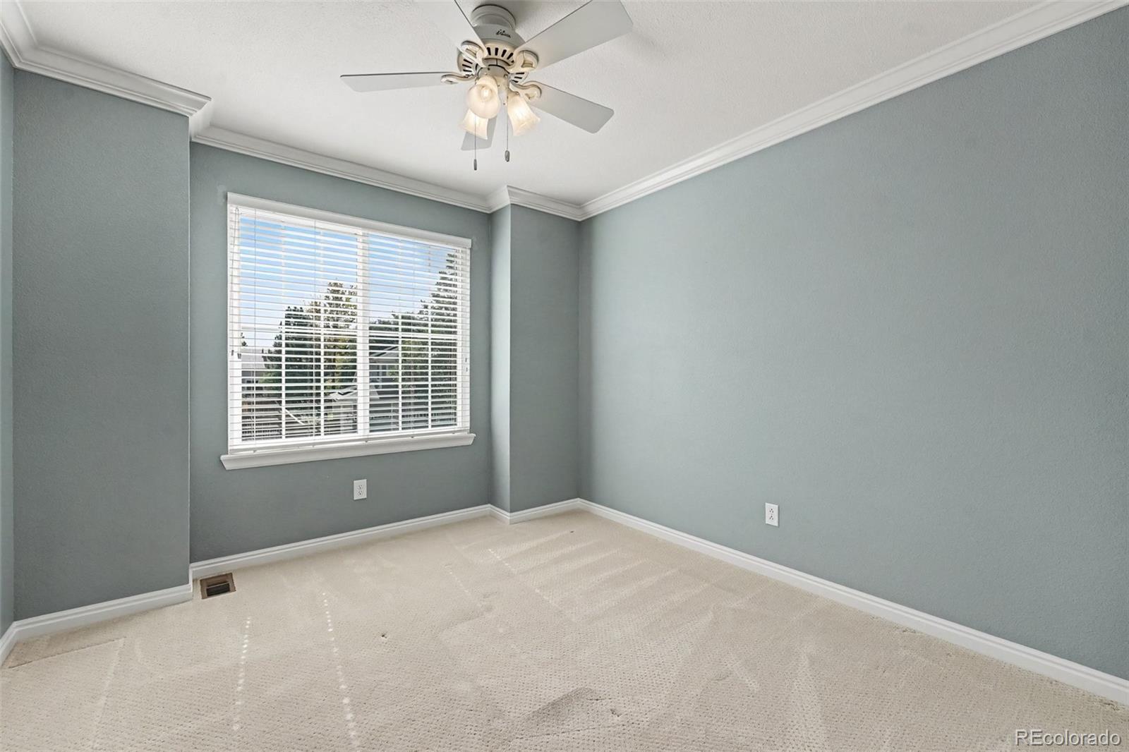 MLS Image #21 for 435  bexley street,highlands ranch, Colorado