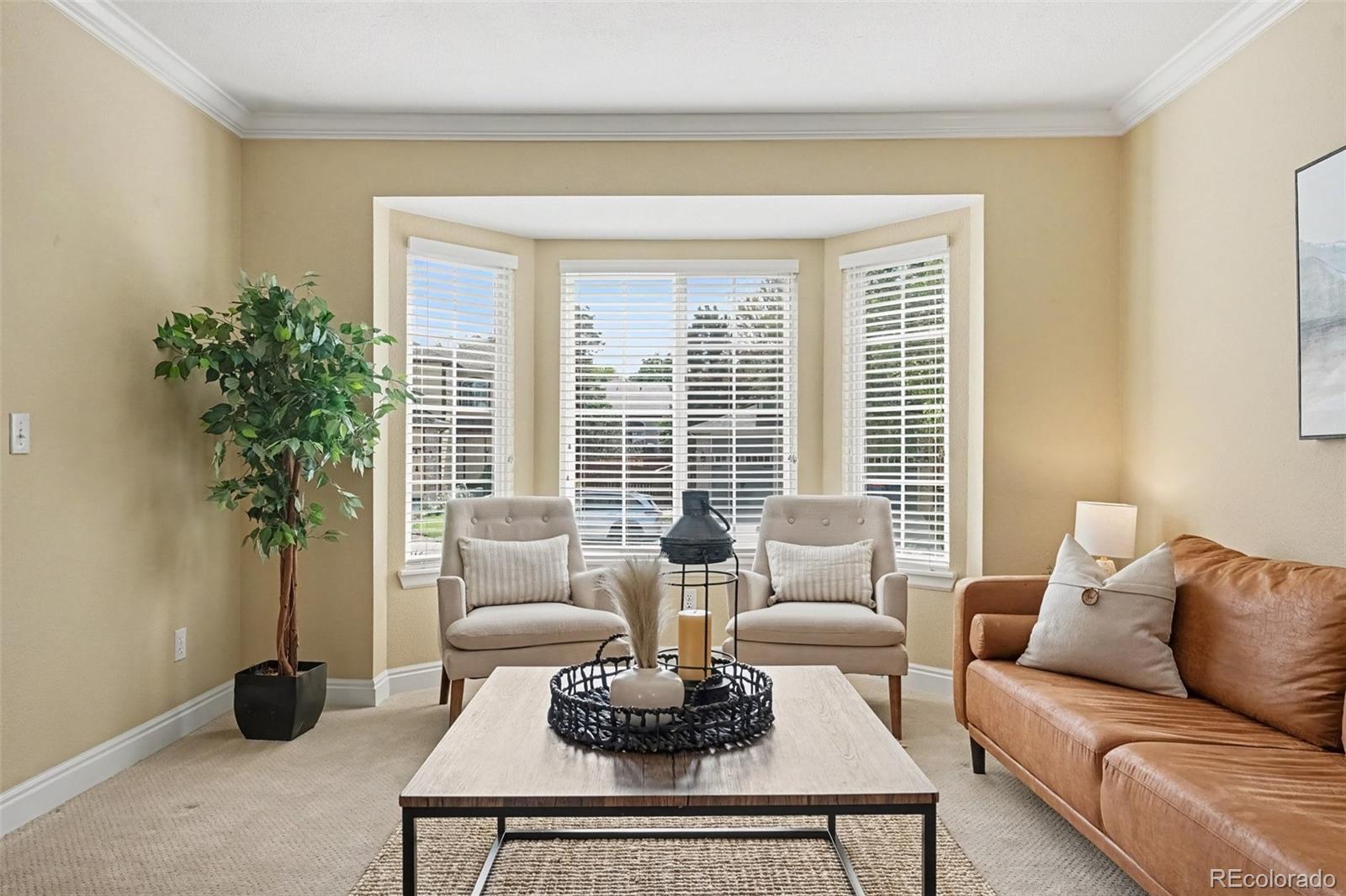 MLS Image #3 for 435  bexley street,highlands ranch, Colorado