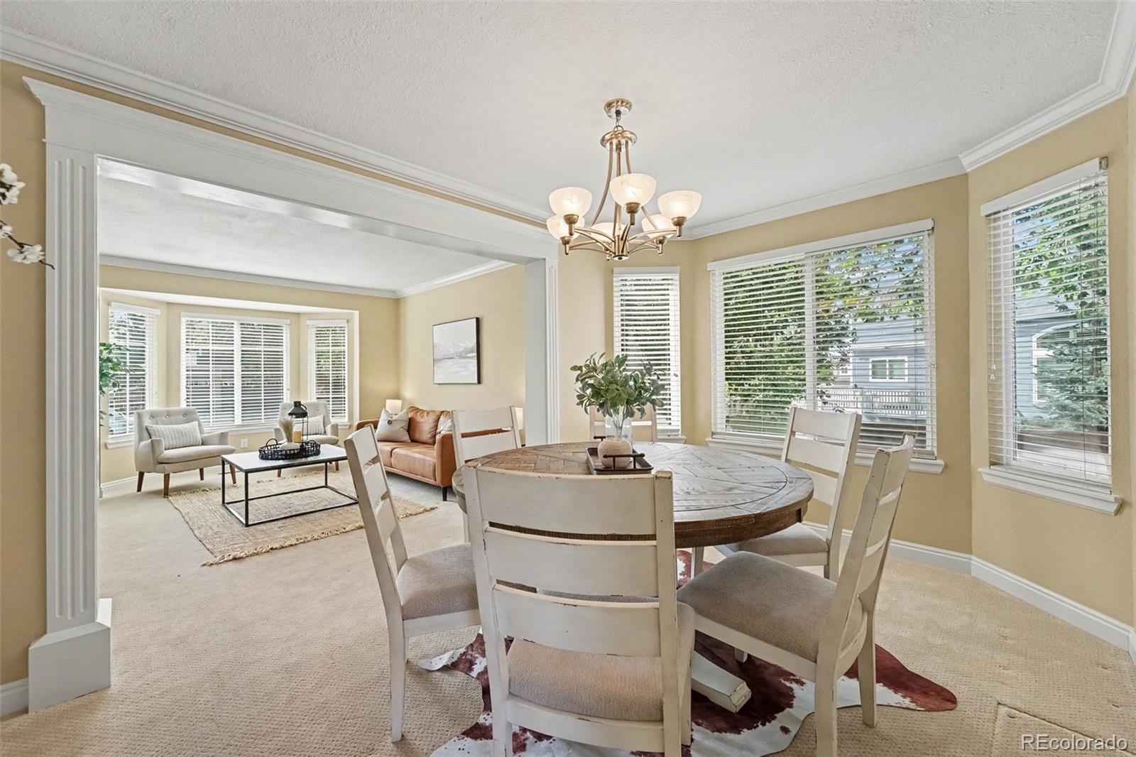 MLS Image #5 for 435  bexley street,highlands ranch, Colorado