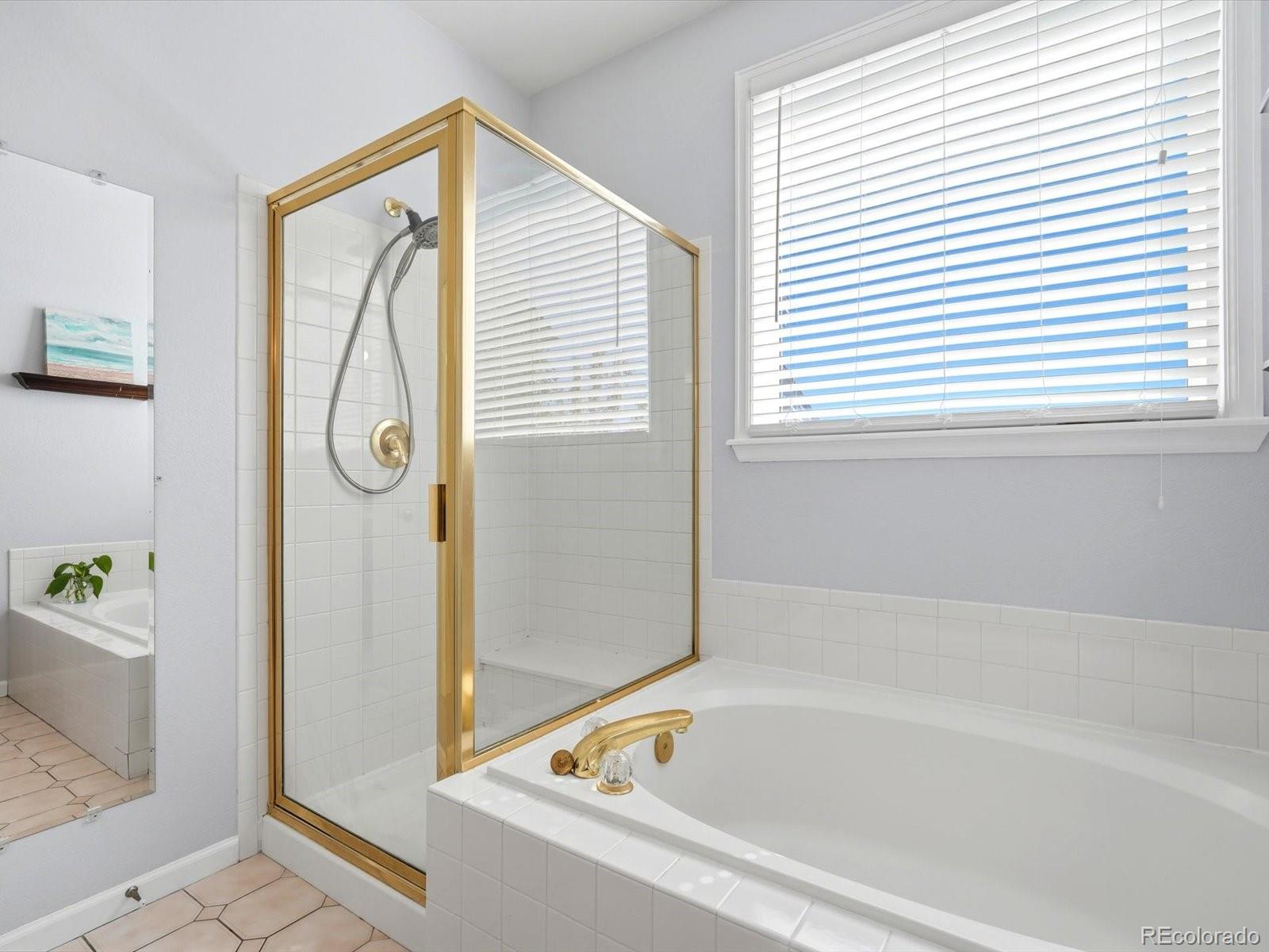 MLS Image #23 for 8664  canongate lane,highlands ranch, Colorado