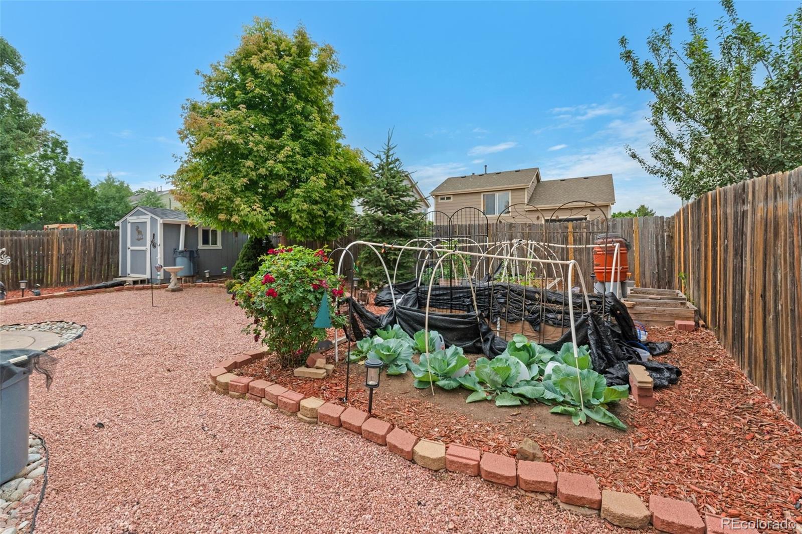 MLS Image #8 for 7225  westerner drive,colorado springs, Colorado