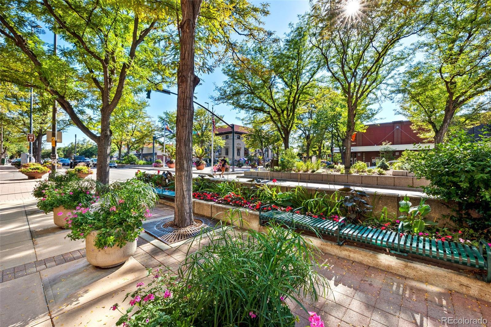 MLS Image #38 for 230 n loomis avenue,fort collins, Colorado