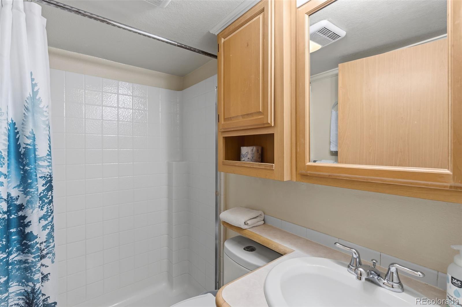 MLS Image #14 for 85  revett drive,breckenridge, Colorado