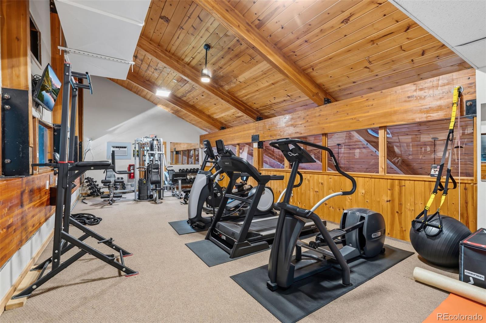 MLS Image #20 for 85  revett drive,breckenridge, Colorado
