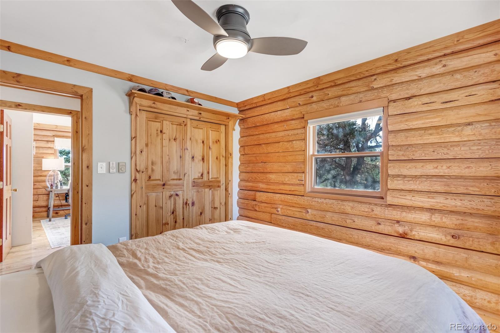 MLS Image #26 for 29165  pinon circle drive,buena vista, Colorado