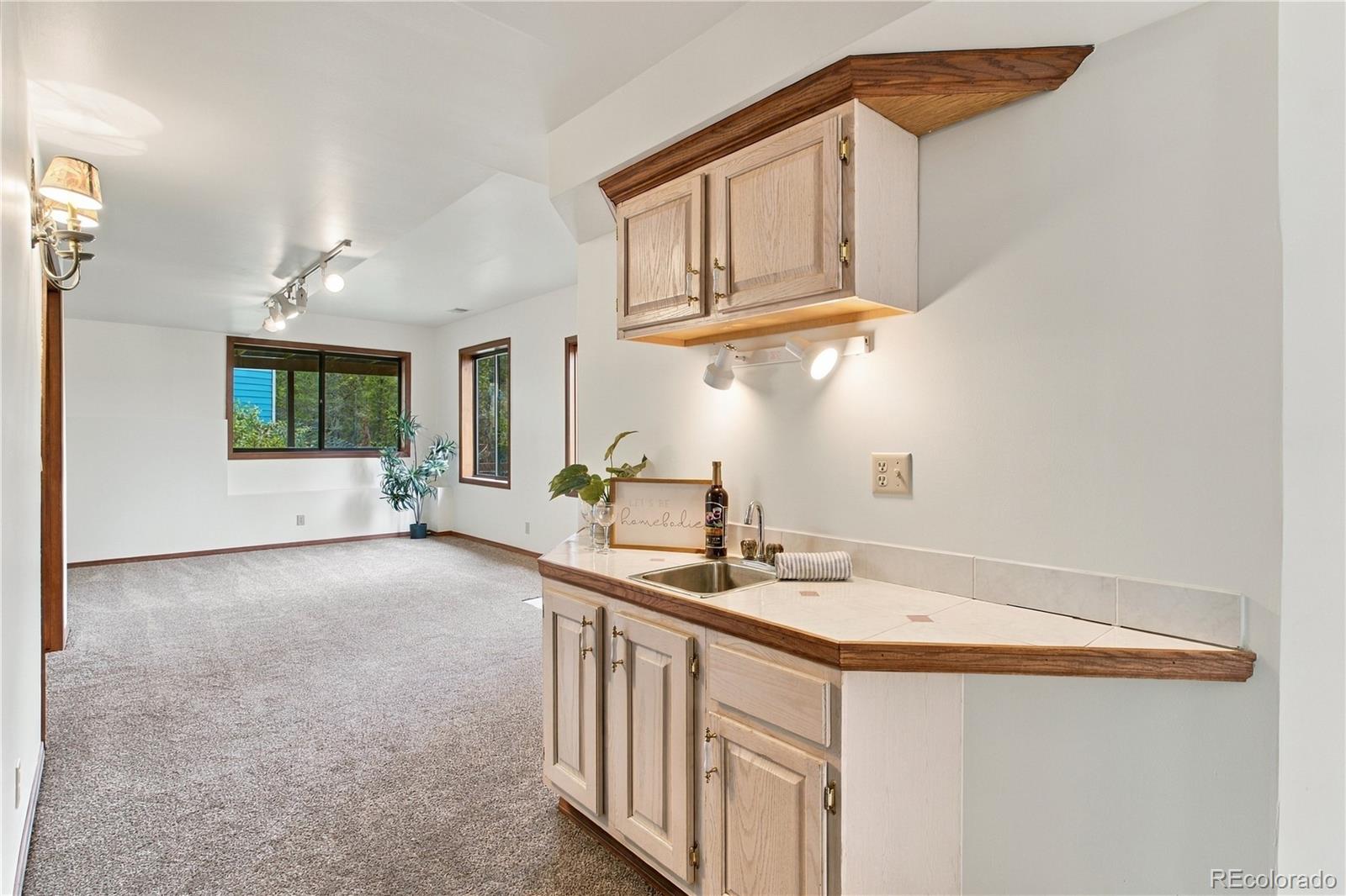 MLS Image #19 for 75  ranch way,bailey, Colorado