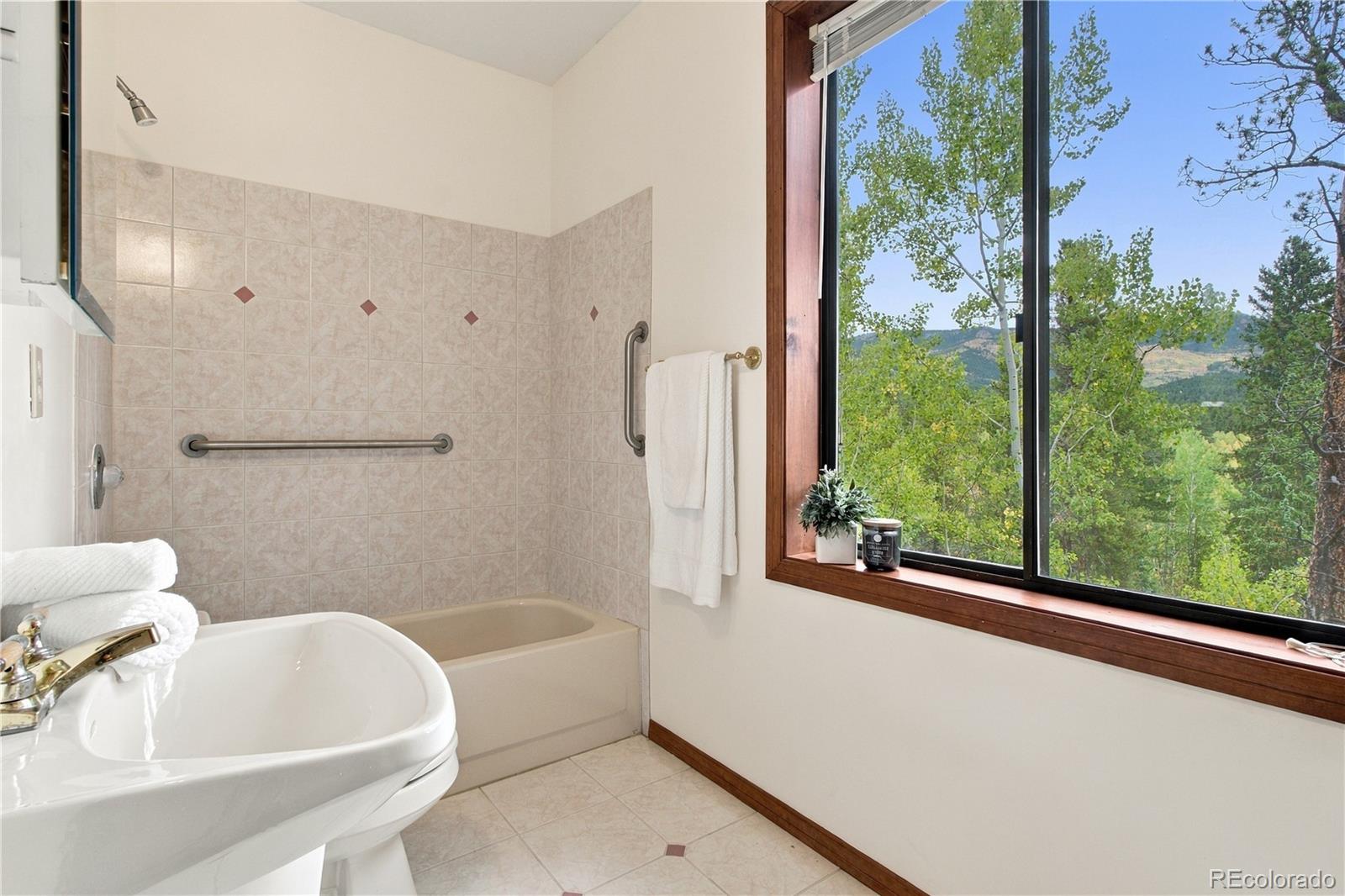 MLS Image #24 for 75  ranch way,bailey, Colorado