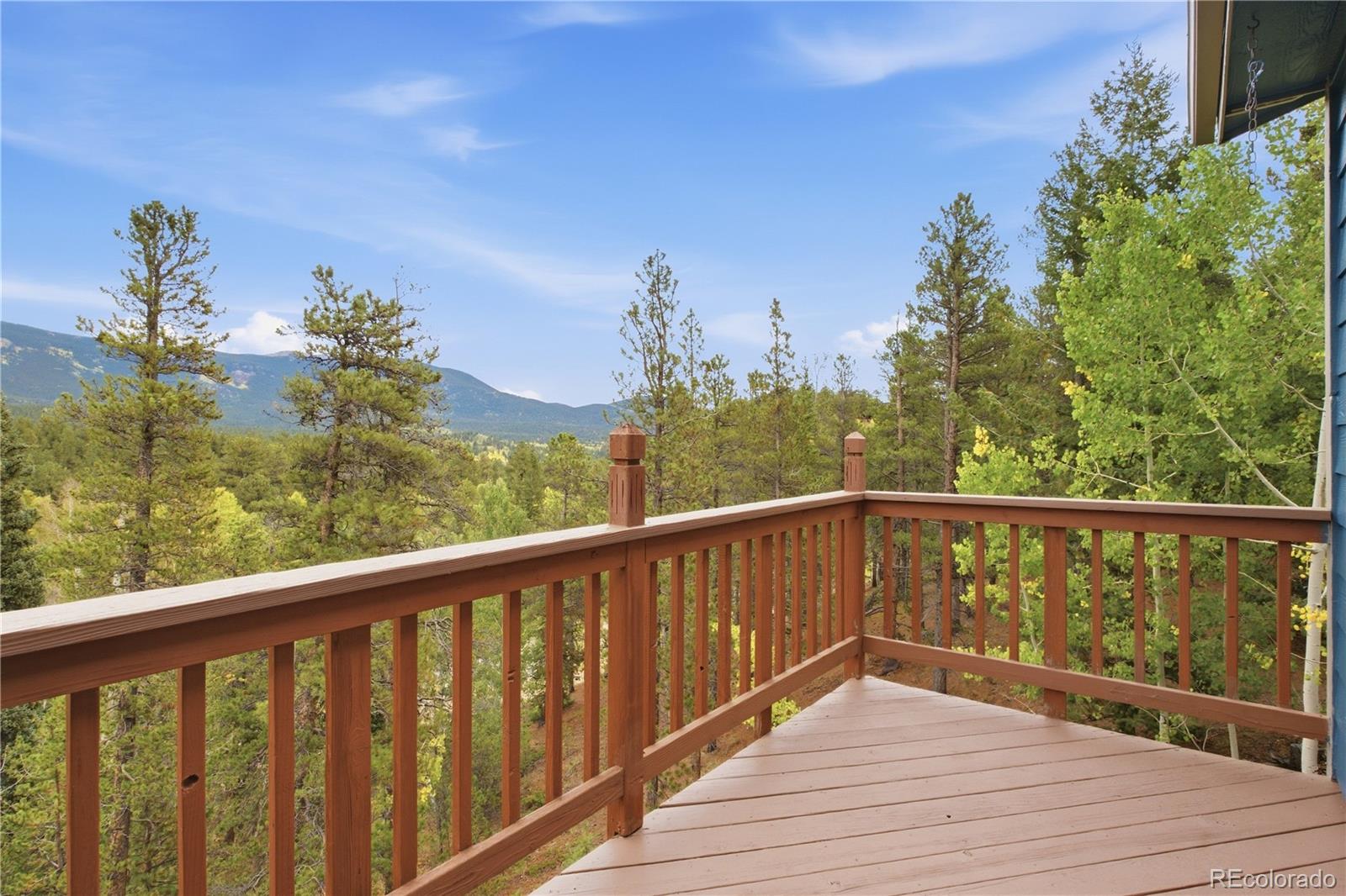MLS Image #29 for 75  ranch way,bailey, Colorado