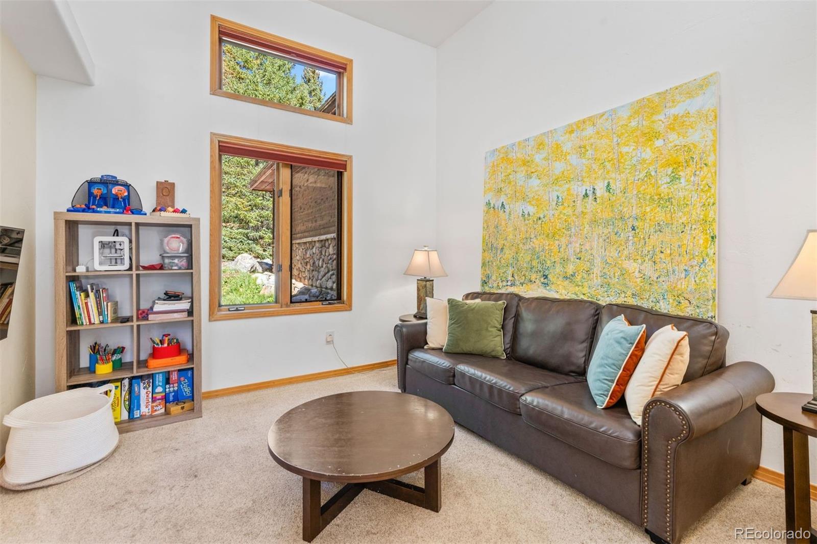 MLS Image #13 for 215  97 circle,blue river, Colorado