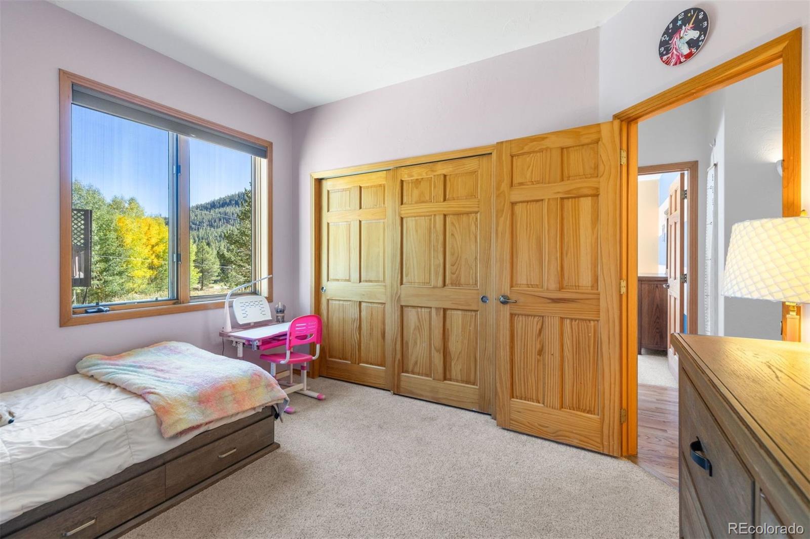 MLS Image #26 for 215  97 circle,blue river, Colorado