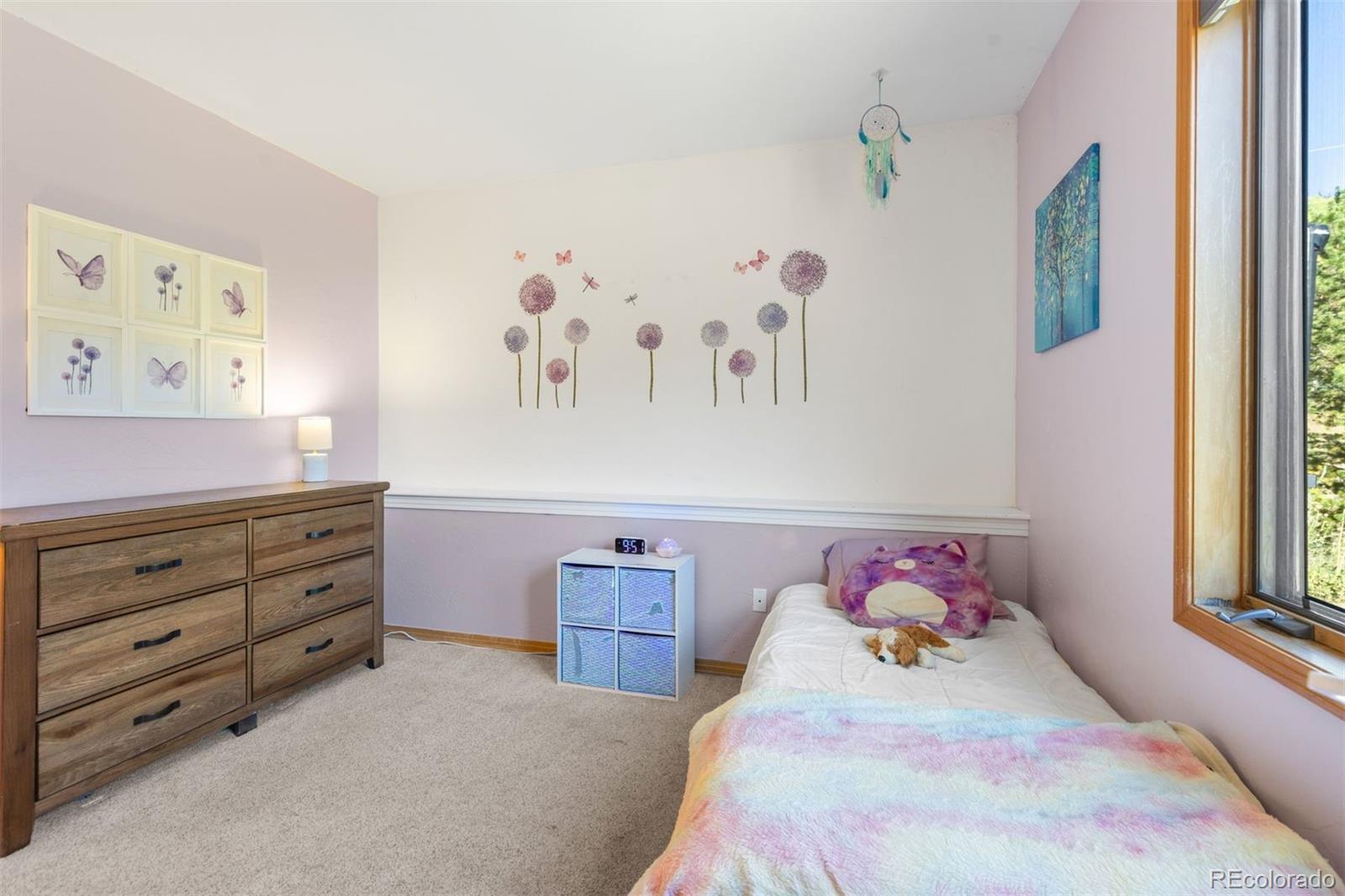 MLS Image #27 for 215  97 circle,blue river, Colorado