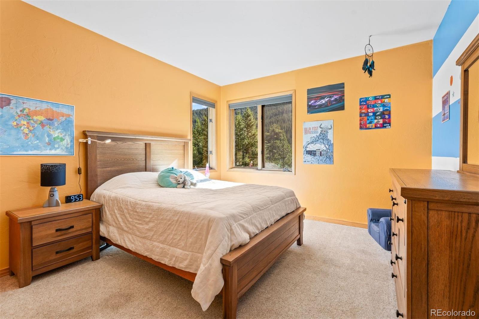 MLS Image #29 for 215  97 circle,blue river, Colorado