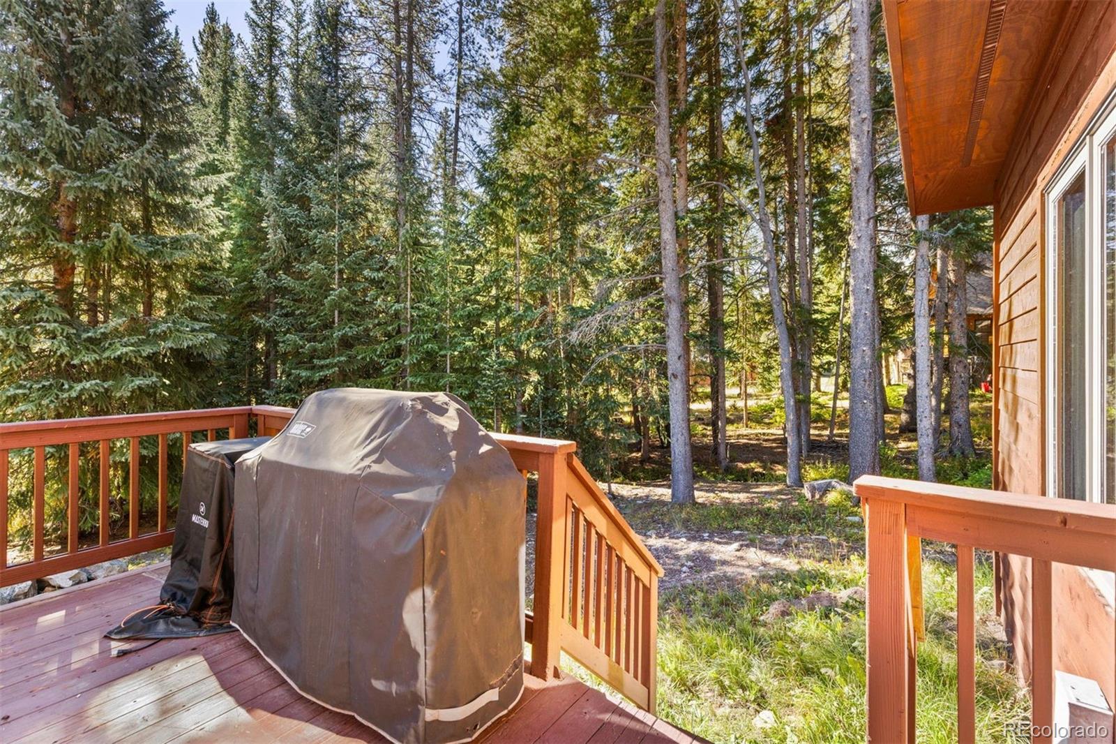 MLS Image #37 for 215  97 circle,blue river, Colorado