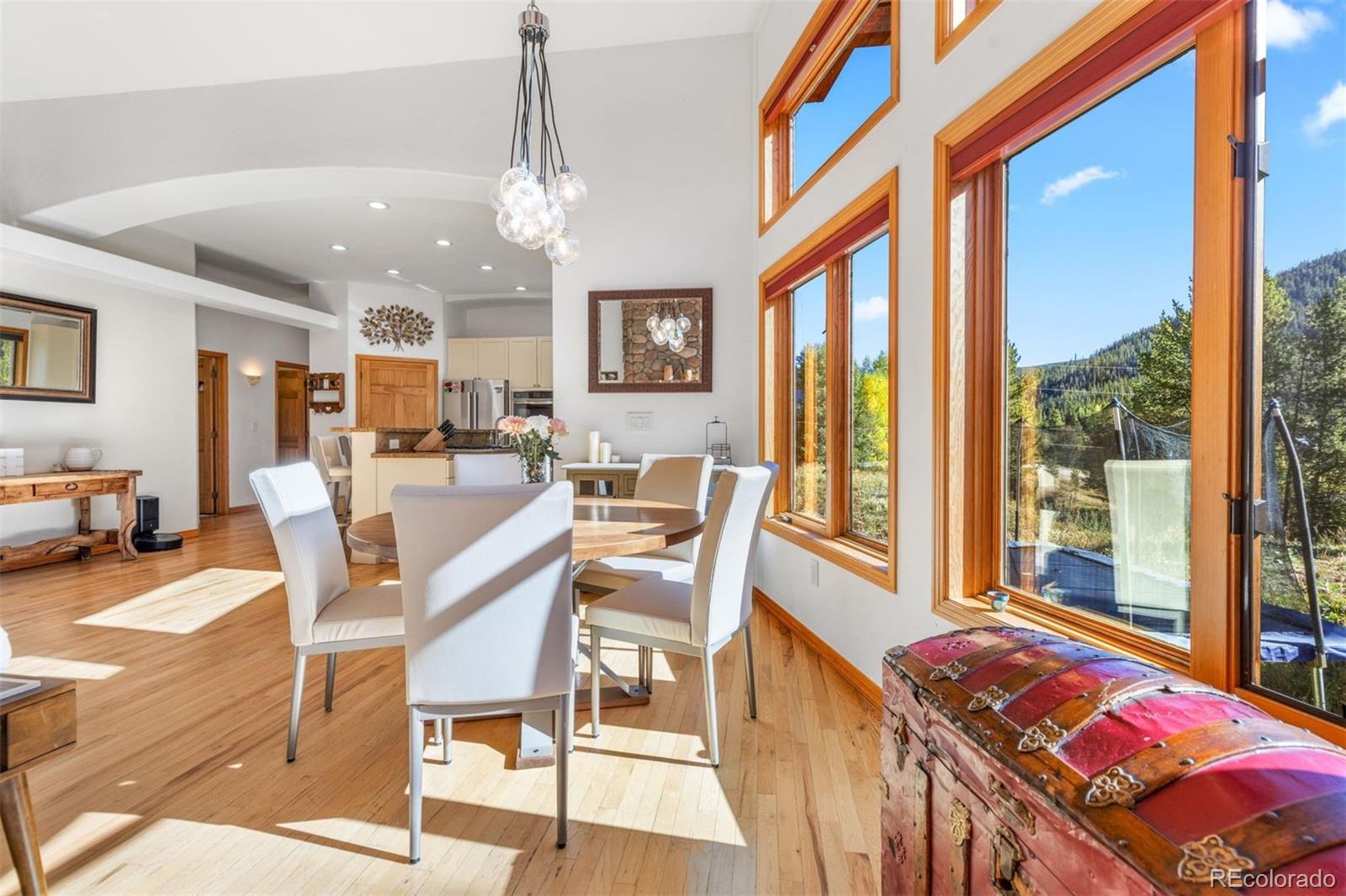 MLS Image #8 for 215  97 circle,blue river, Colorado