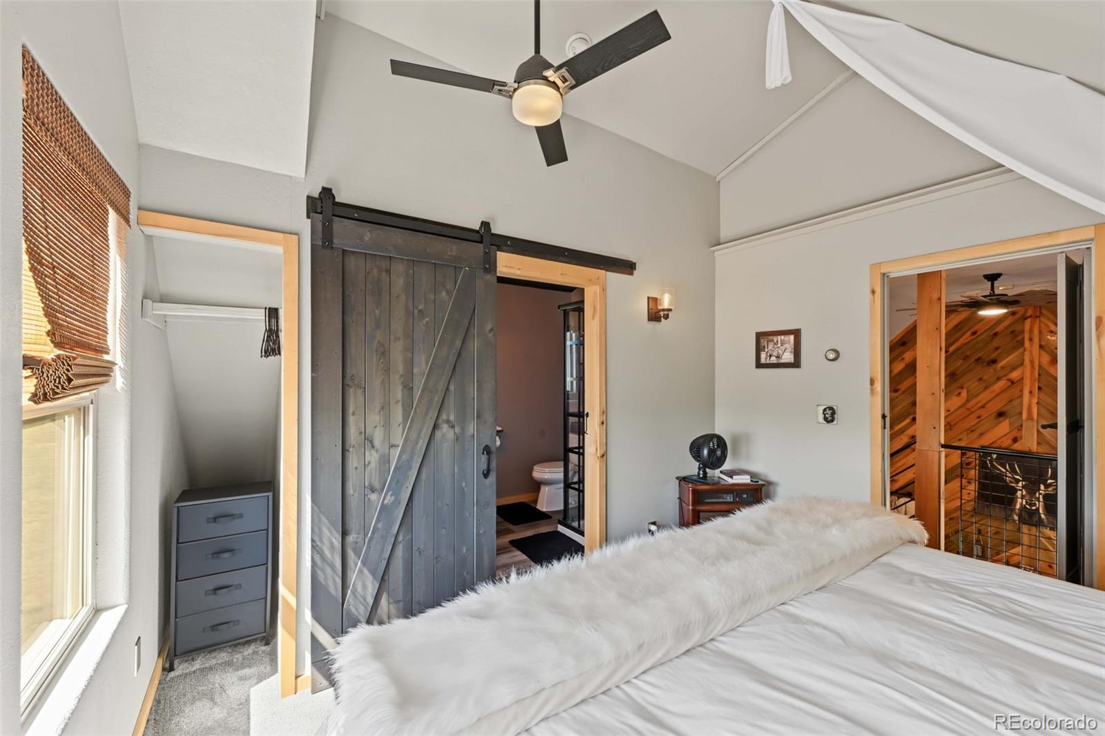 MLS Image #25 for 801  county road 27a ,cotopaxi, Colorado