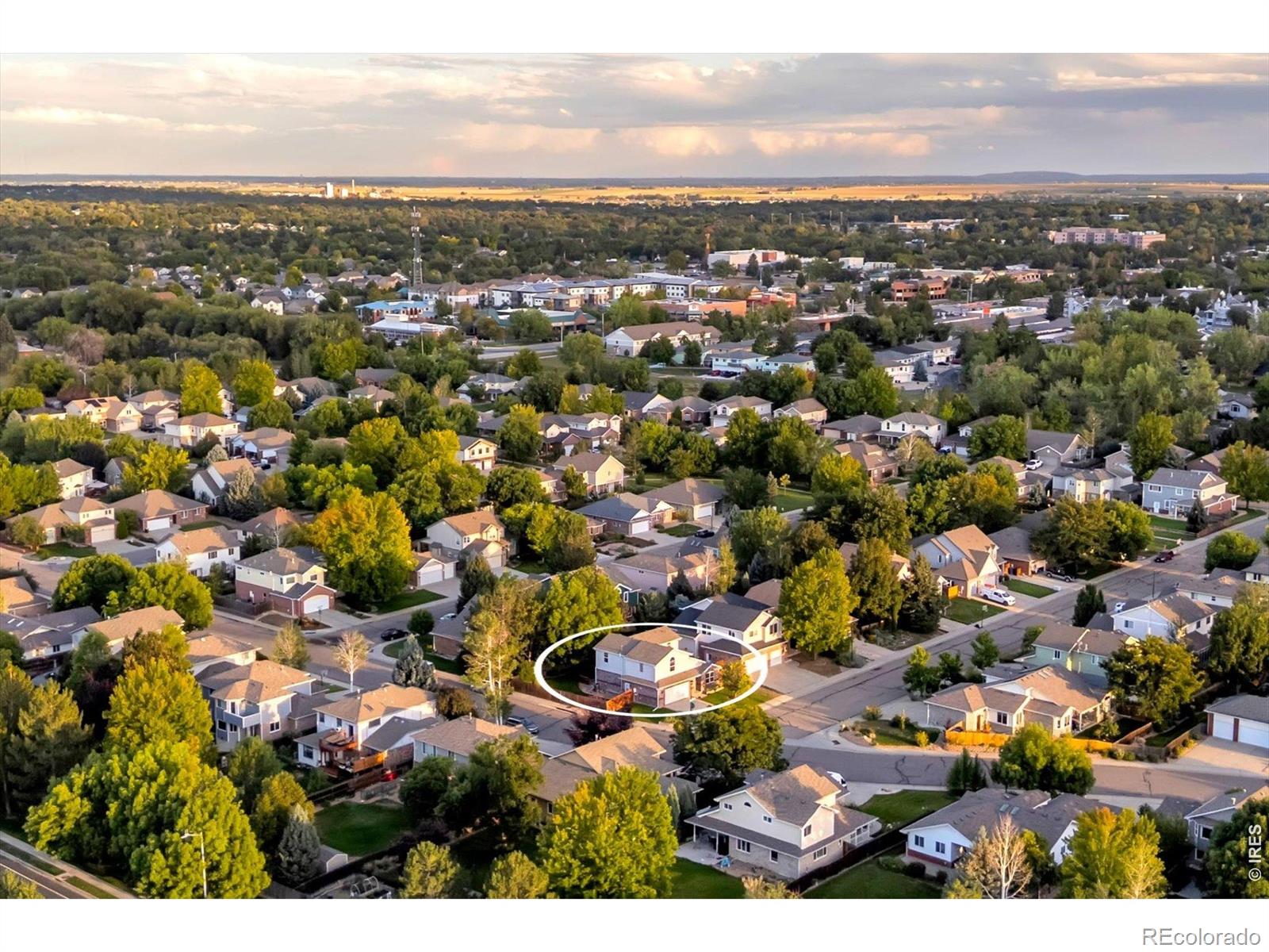MLS Image #43 for 2082  gold finch court,longmont, Colorado