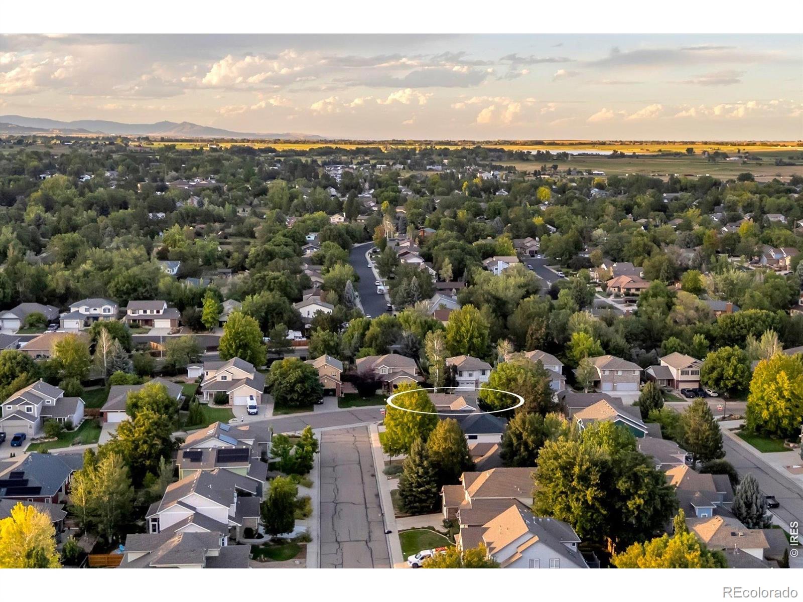 MLS Image #44 for 2082  gold finch court,longmont, Colorado