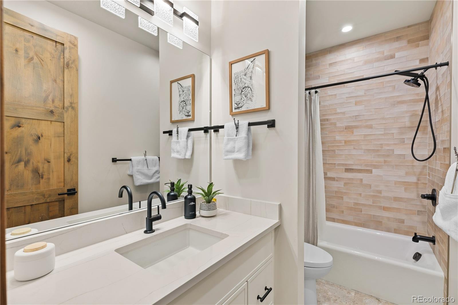 MLS Image #45 for 329  kestrel lane,silverthorne, Colorado