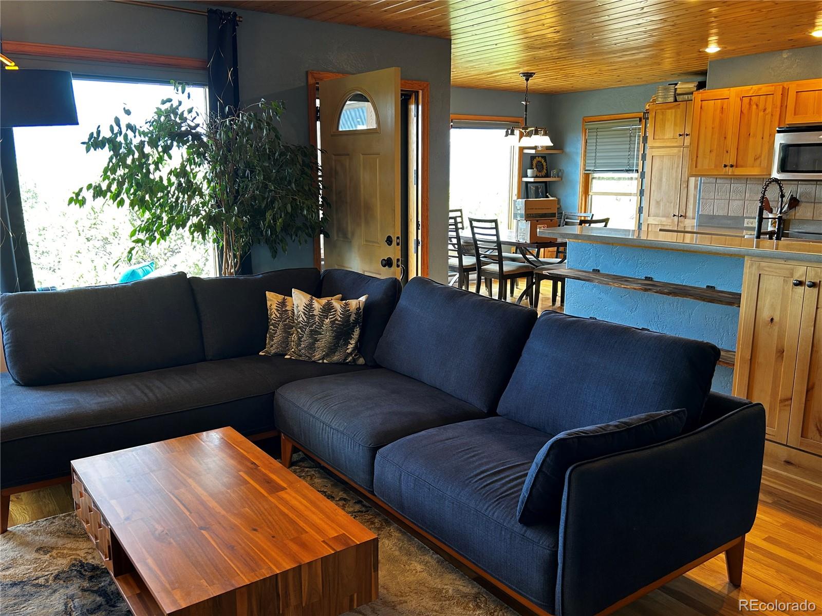 MLS Image #14 for 430  cherokee trail,westcliffe, Colorado