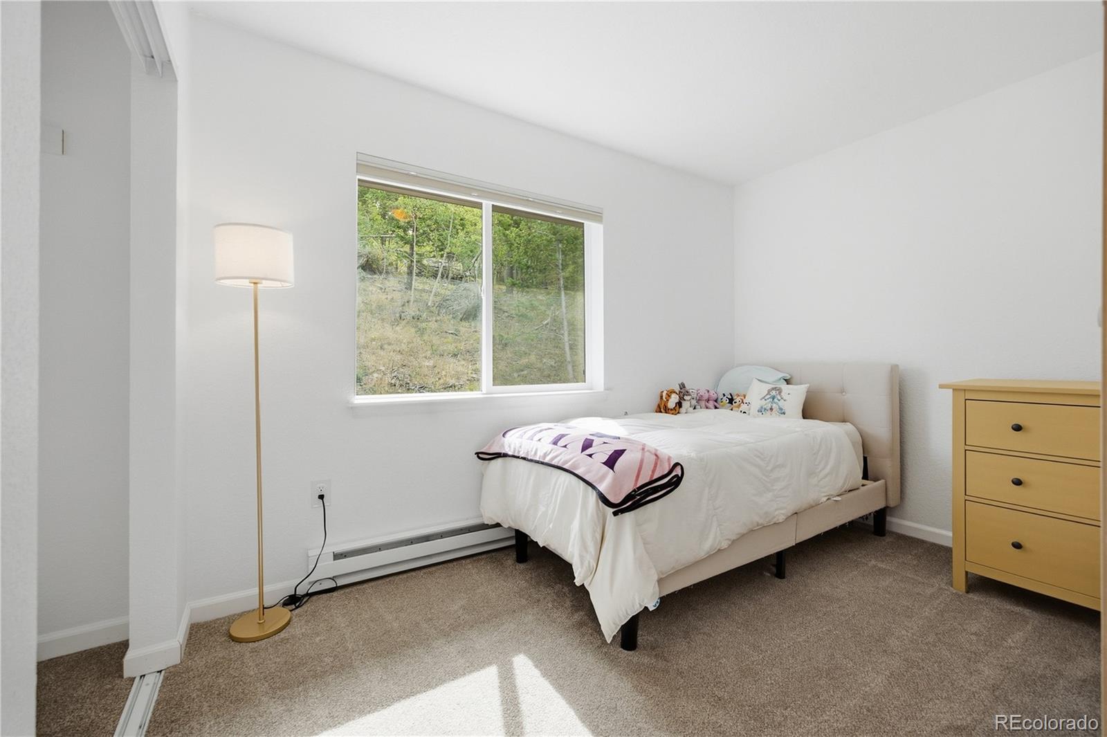 MLS Image #23 for 9941  city view drive,morrison, Colorado