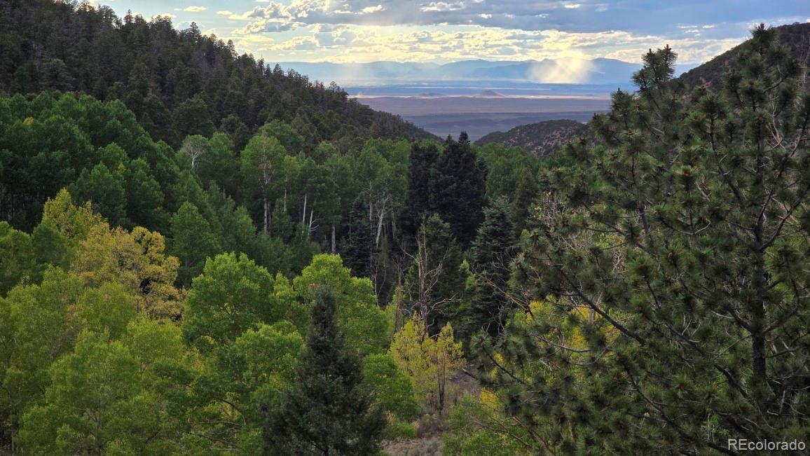 MLS Image #32 for 5520  bateman road,fort garland, Colorado