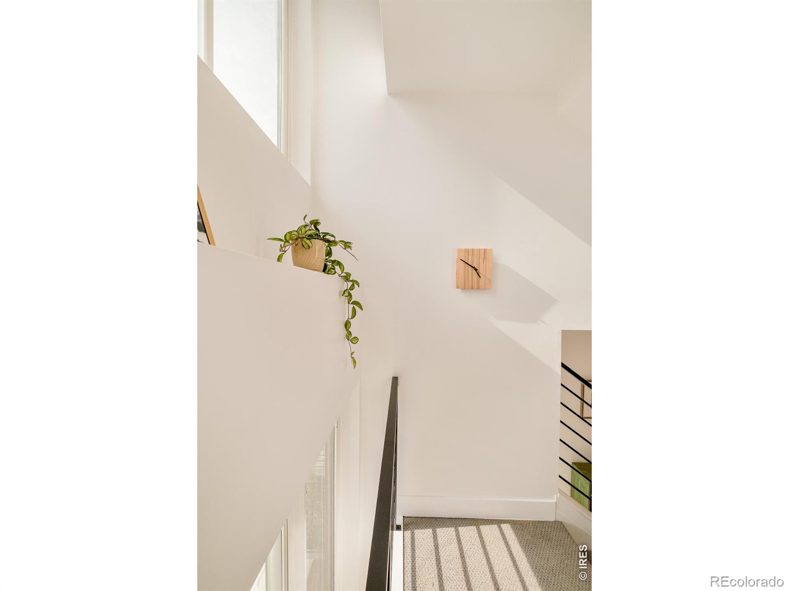 MLS Image #17 for 4392  zenobia street,denver, Colorado