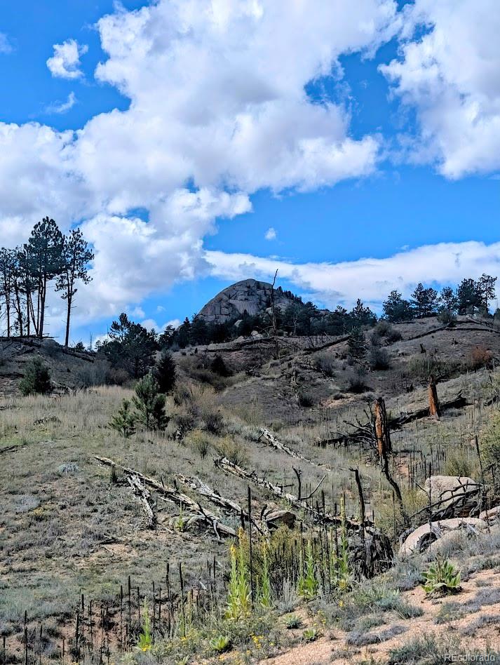 MLS Image #11 for 19221 s buffalo creek road,pine, Colorado