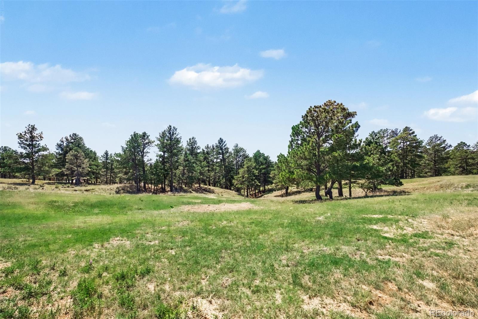 MLS Image #38 for 40945  topaz drive,deer trail, Colorado
