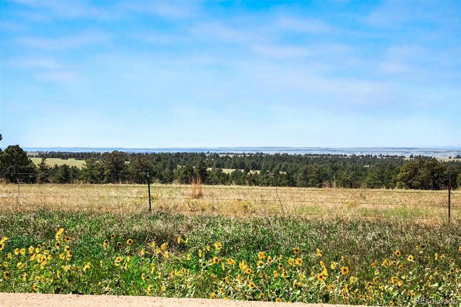 MLS Image #46 for 40945  topaz drive,deer trail, Colorado