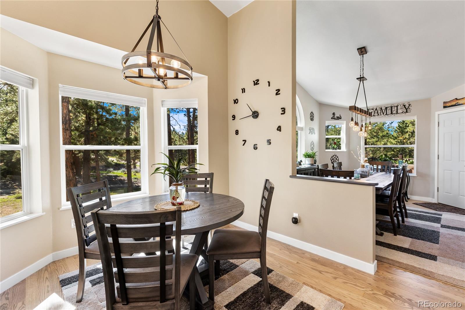 MLS Image #18 for 3115  regent drive,woodland park, Colorado