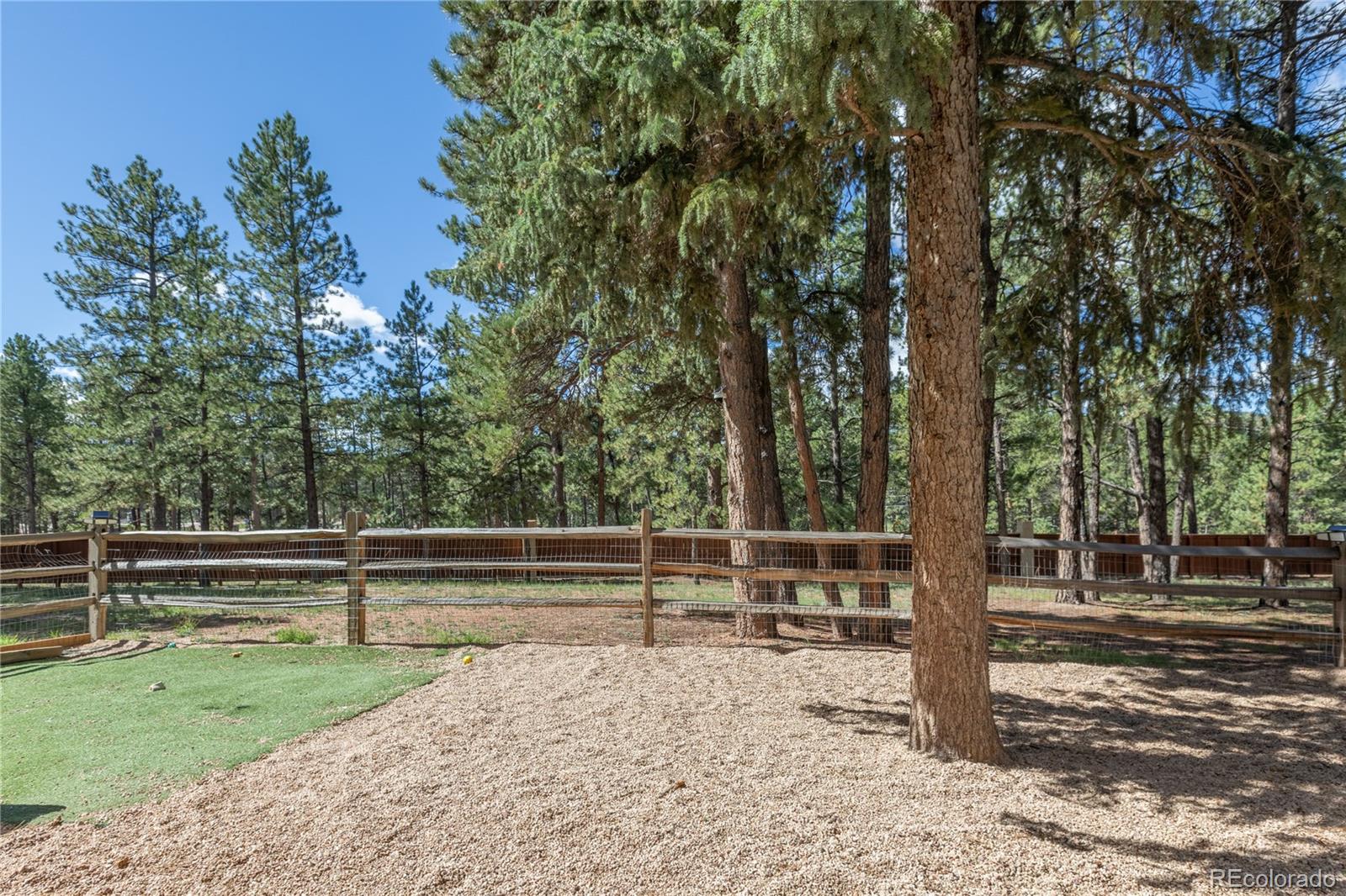 MLS Image #39 for 3115  regent drive,woodland park, Colorado