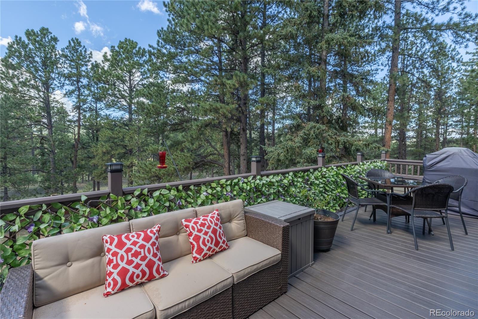 MLS Image #40 for 3115  regent drive,woodland park, Colorado