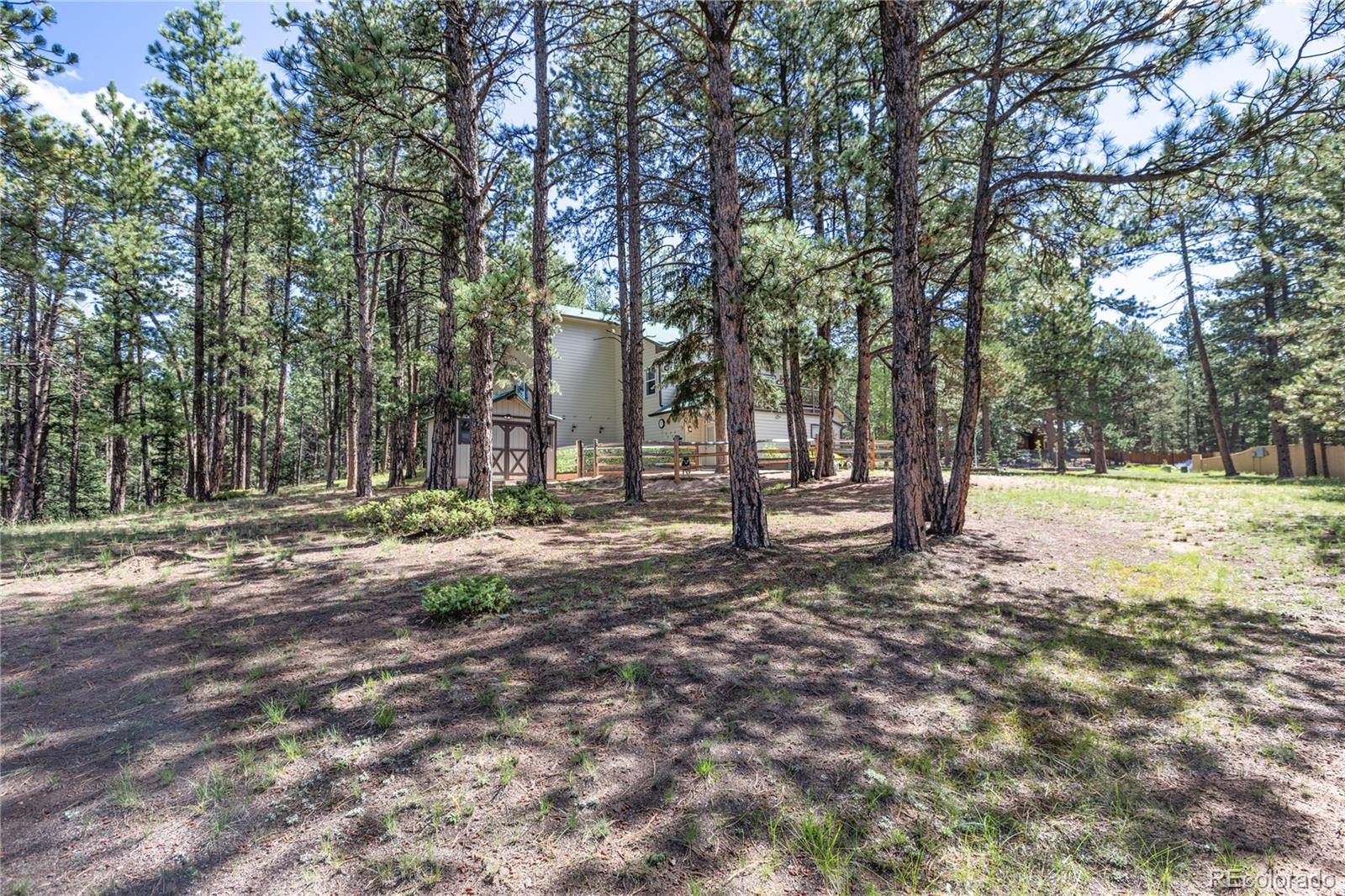 MLS Image #43 for 3115  regent drive,woodland park, Colorado