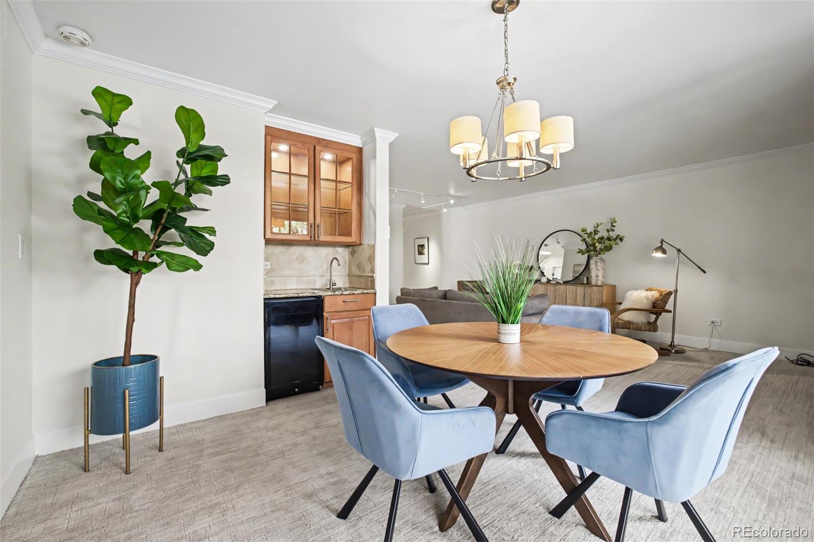 MLS Image #5 for 700 n washington street 202,denver, Colorado