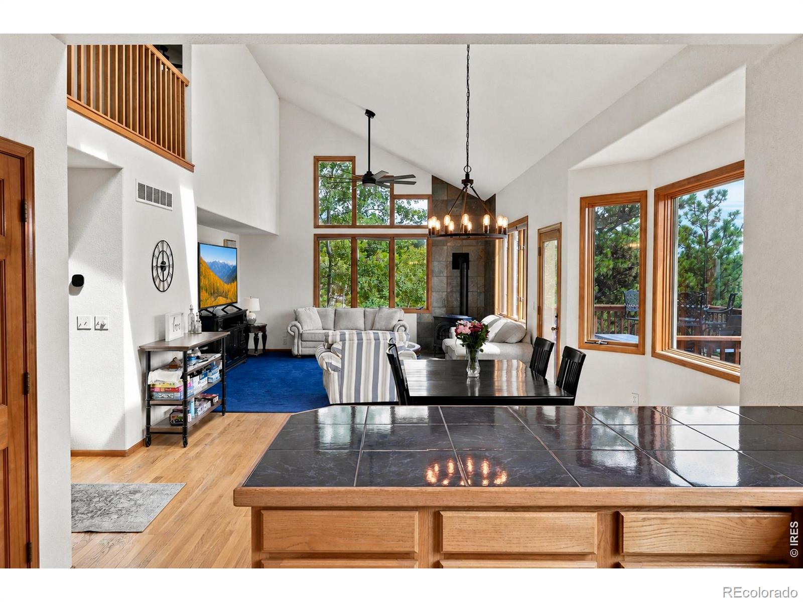 MLS Image #16 for 3612  ridge road,nederland, Colorado
