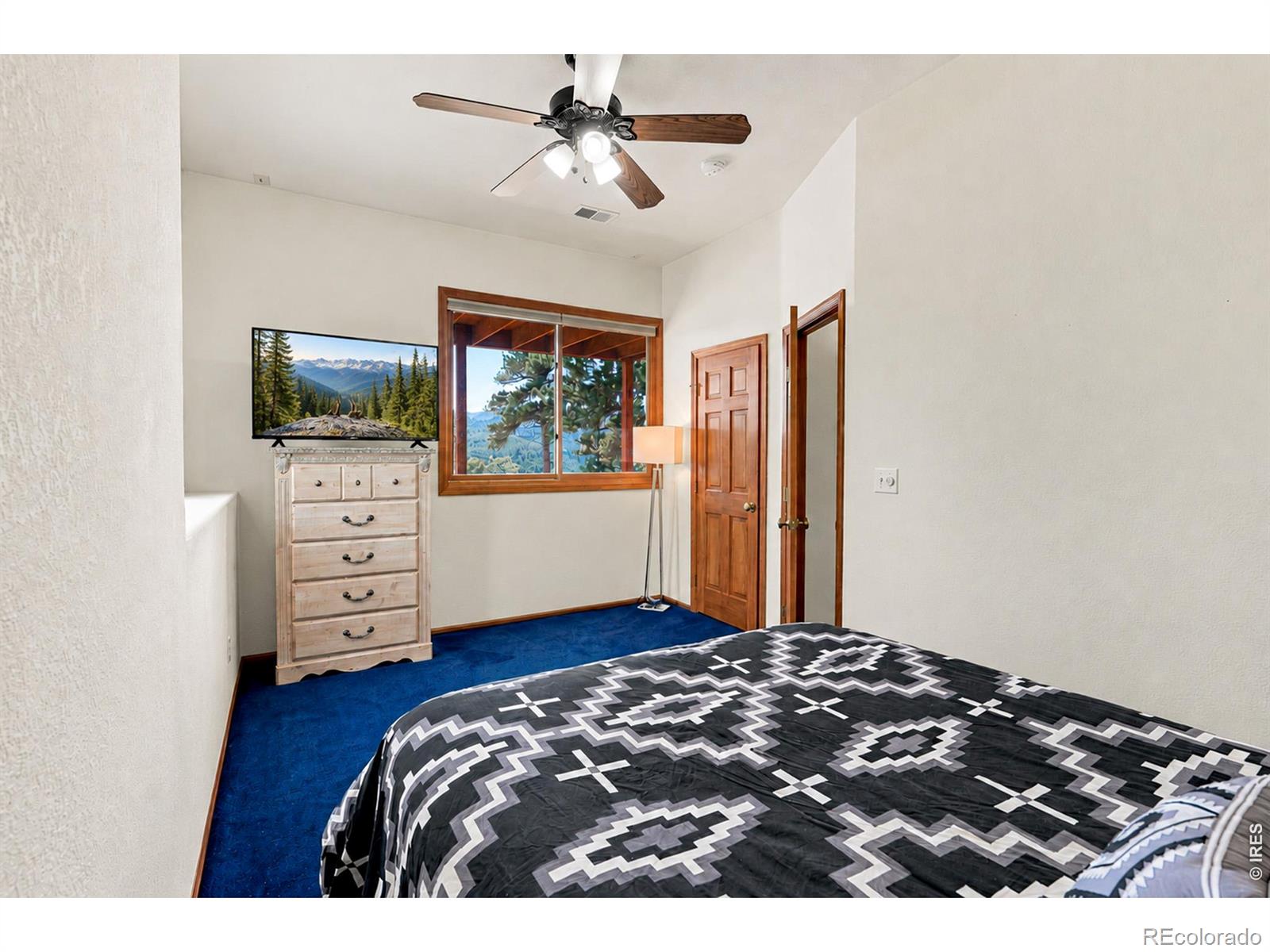 MLS Image #35 for 3612  ridge road,nederland, Colorado