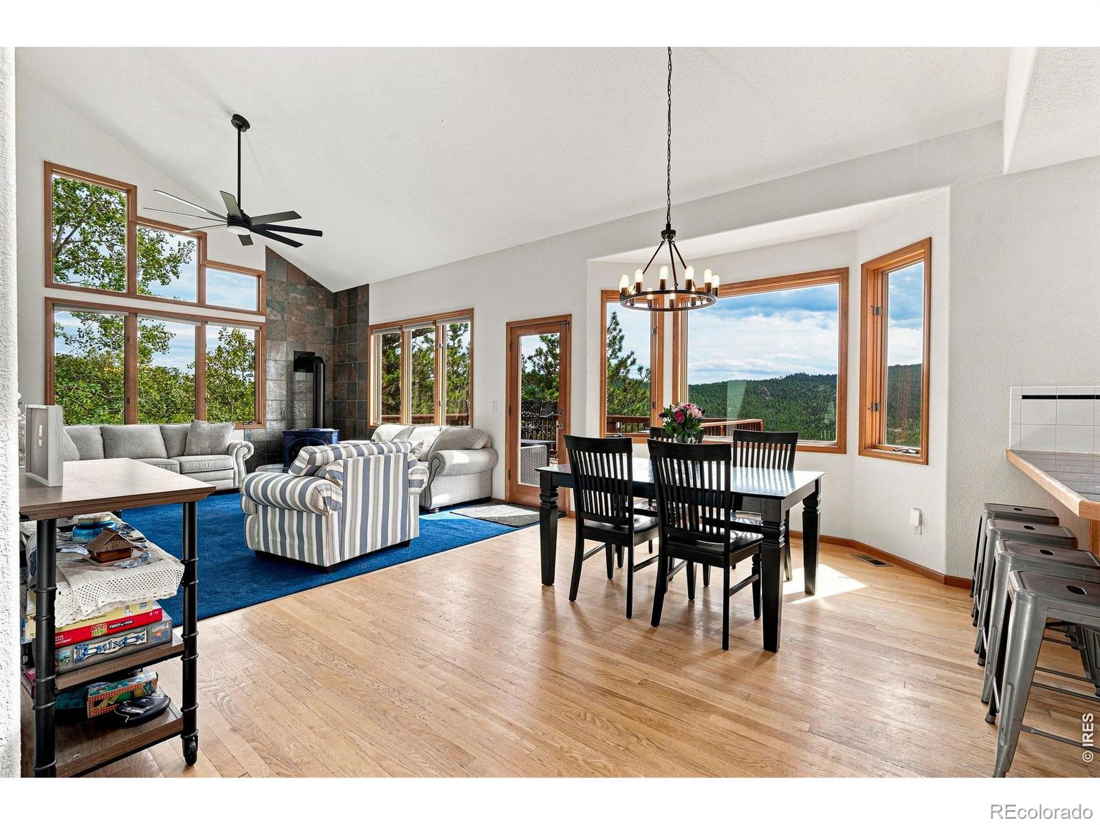 MLS Image #4 for 3612  ridge road,nederland, Colorado