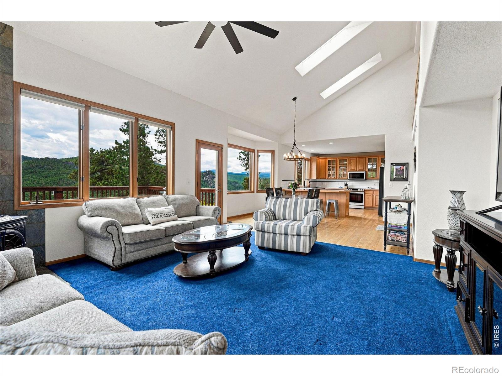 MLS Image #5 for 3612  ridge road,nederland, Colorado