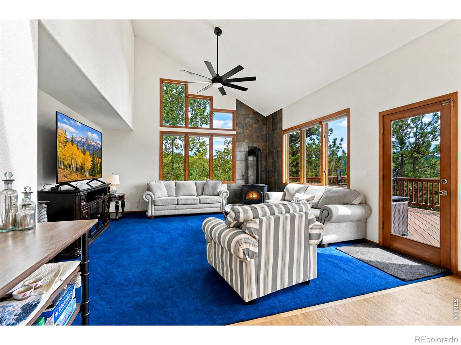 MLS Image #6 for 3612  ridge road,nederland, Colorado