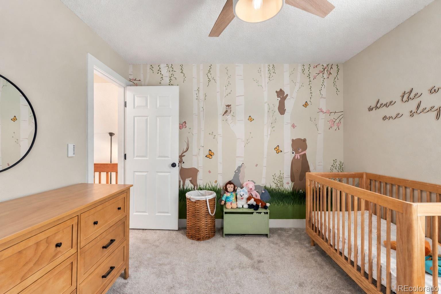 MLS Image #37 for 271 n holcomb circle,castle rock, Colorado