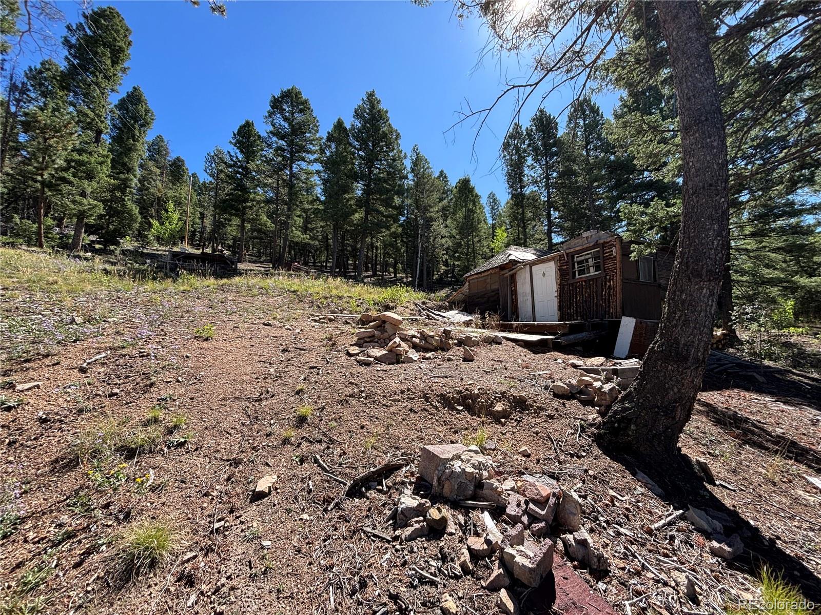 MLS Image #1 for 26460  pleasant park road,conifer, Colorado