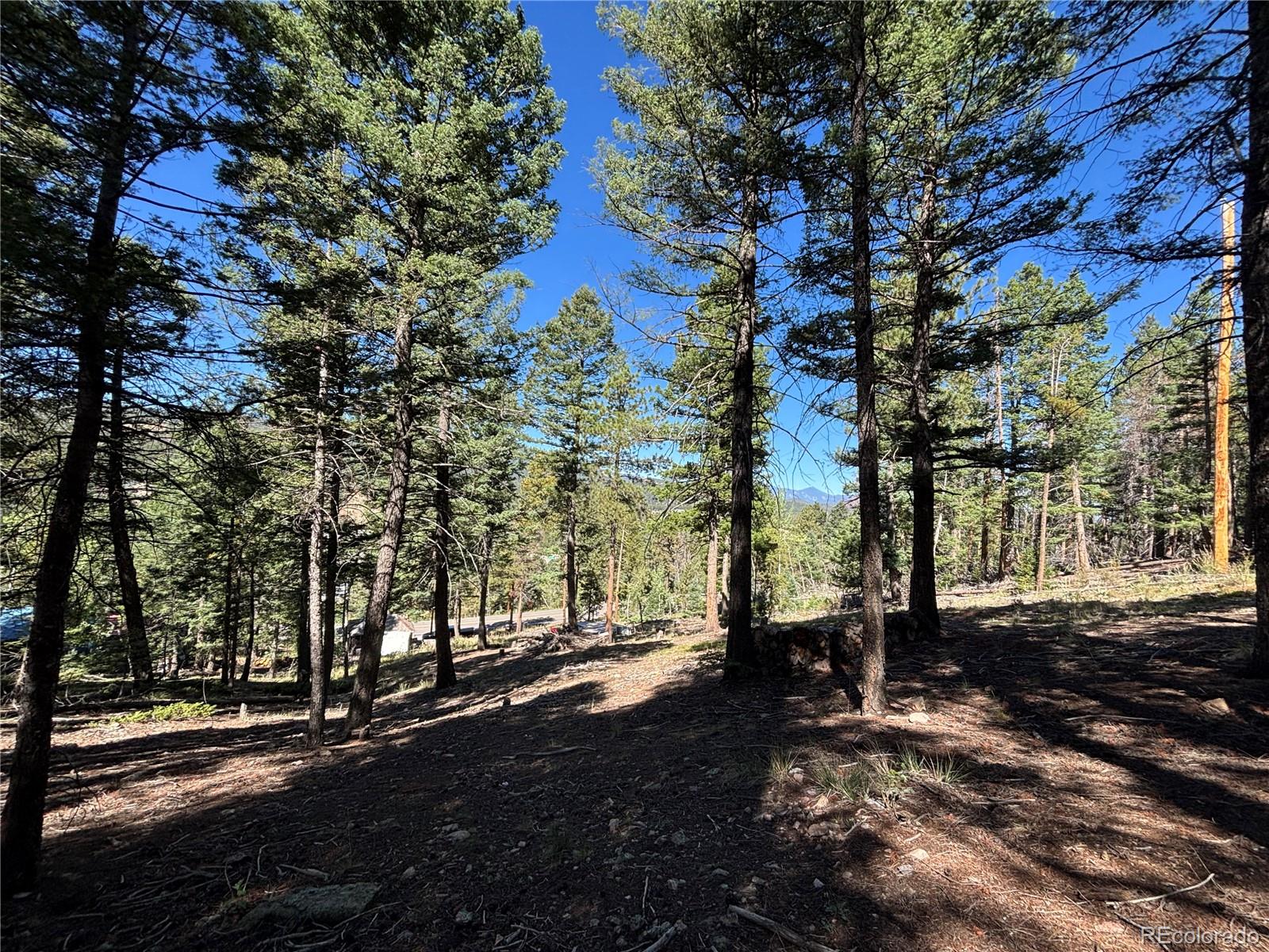 MLS Image #10 for 26460  pleasant park road,conifer, Colorado