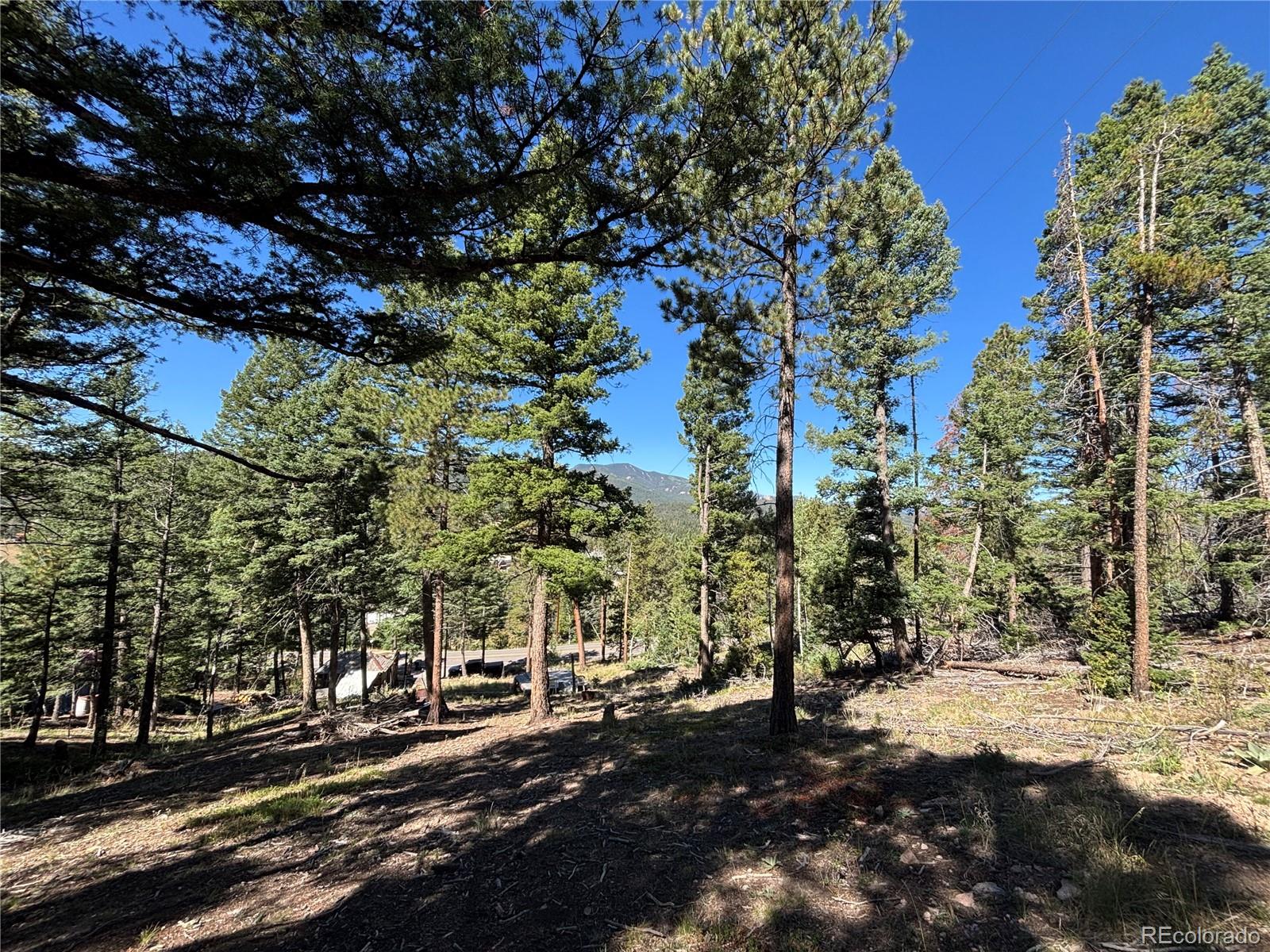 MLS Image #11 for 26460  pleasant park road,conifer, Colorado